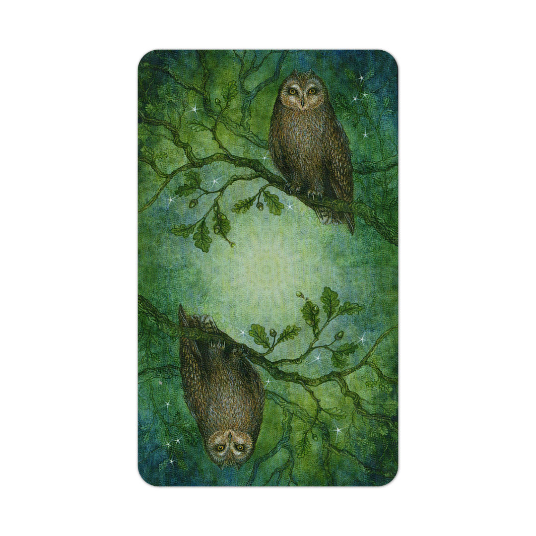 魔法森林塔羅｜Forest Of Enchantment Tarot｜78張,巫師、變形者、仙子