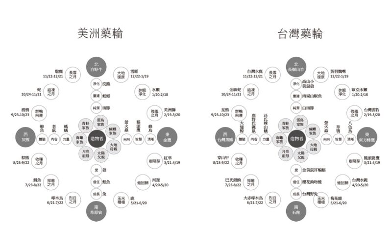 日日藥輪春花媽宇宙藥輪的占卜與應許之書精裝珍藏版-Everyda-9