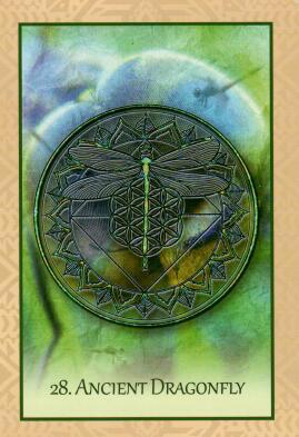 The Native Heart Healing Oracle 2