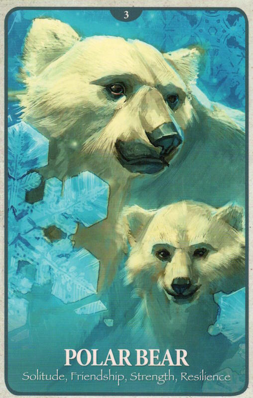 animals 1
