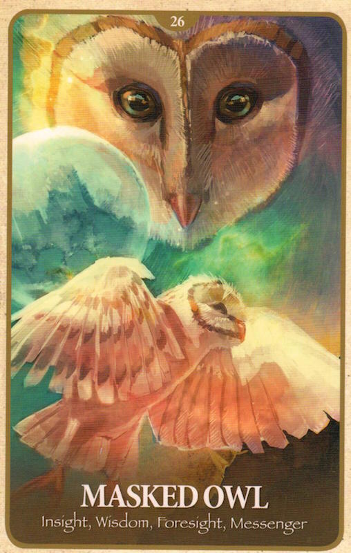 animals 3