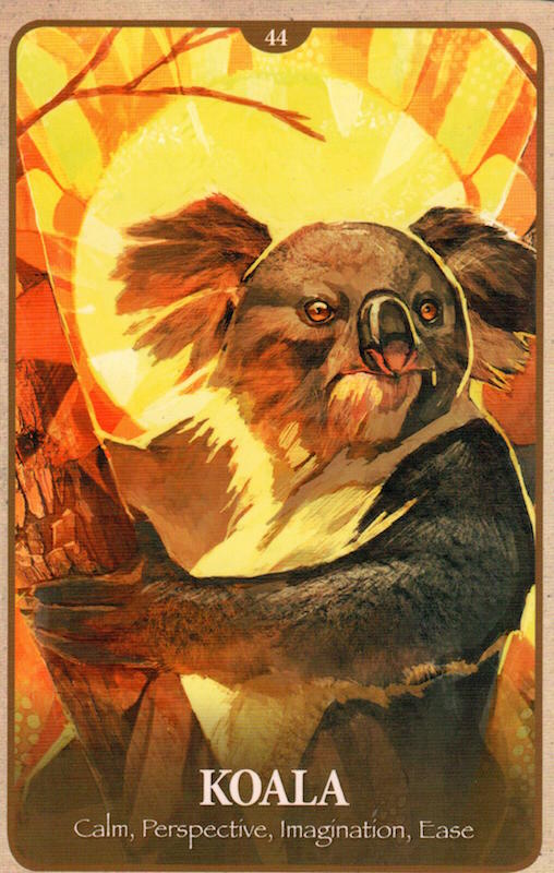 animals 4