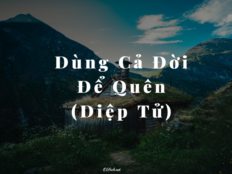 Dùng Cả Đời Để Quên - Diệp Tử