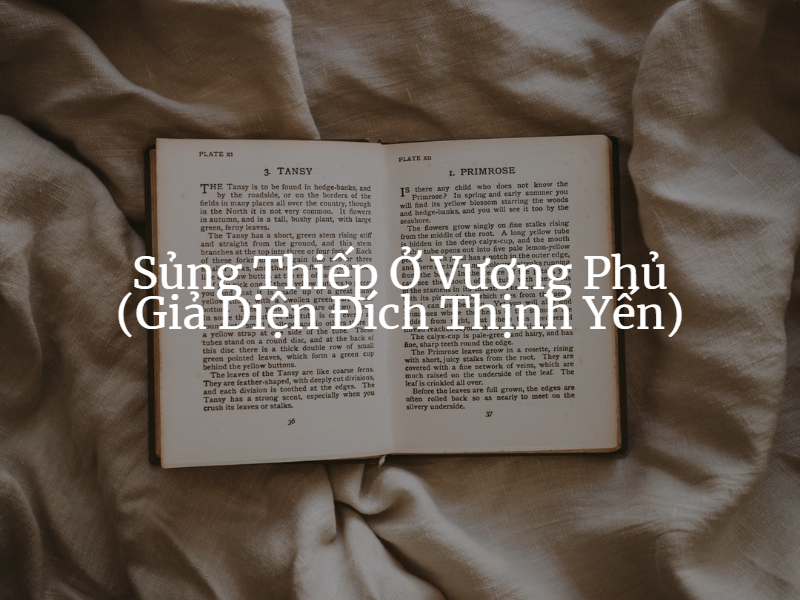 truyện trọng sinh hay nên đọc