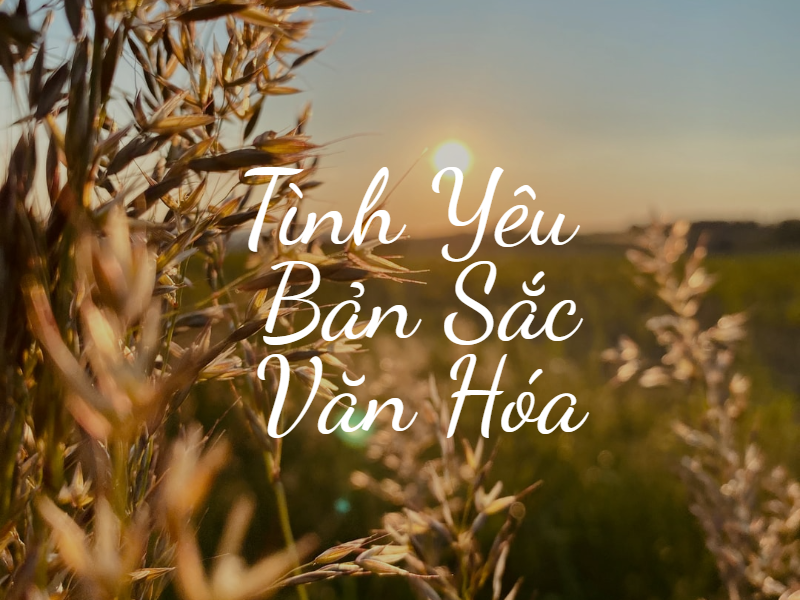  Tình yêu to lớn đối với giá trị văn hóa cao đẹp