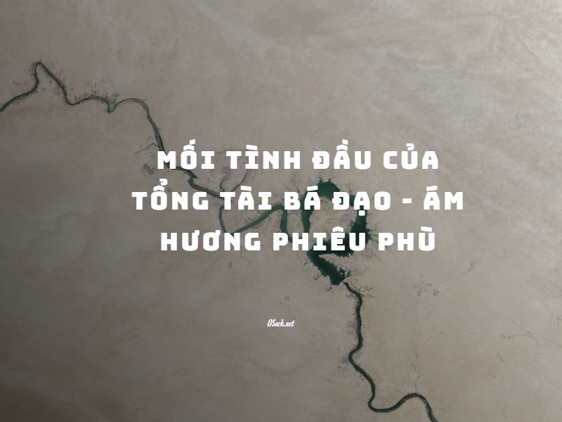 Mối Tình Đầu Của Tổng Tài Bá Đạo - Ám Hương Phiêu Phù