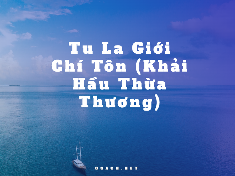 Tu la giới chí tôn - Truyện xuyên không Việt Nam