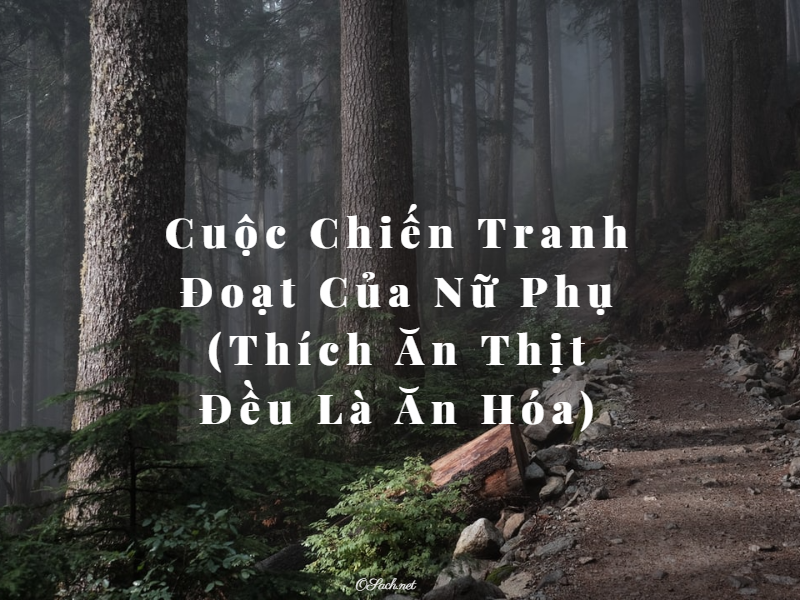 Cuộc Chiến Tranh Đoạt Của Nữ Phụ - Thích Ăn Thịt Đều Là Ăn Hóa