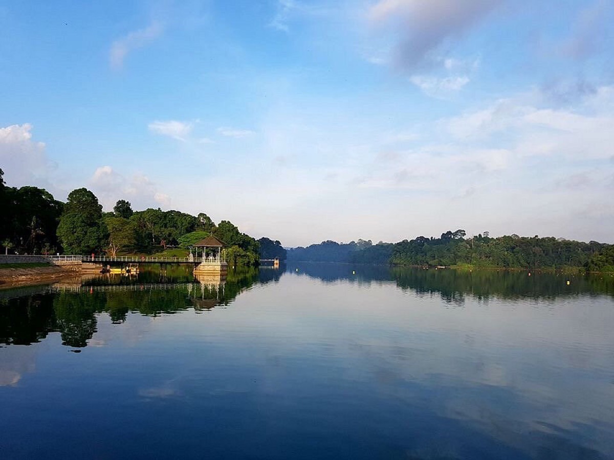 MacRitchie Reservoir Park