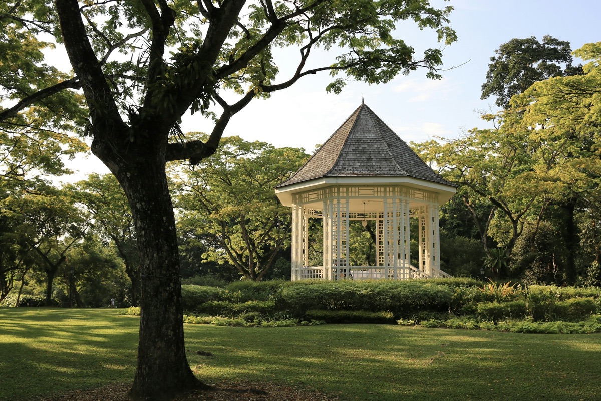 Things to Do With Kids in Bukit Timah and Holland Village, Singapore (2026)