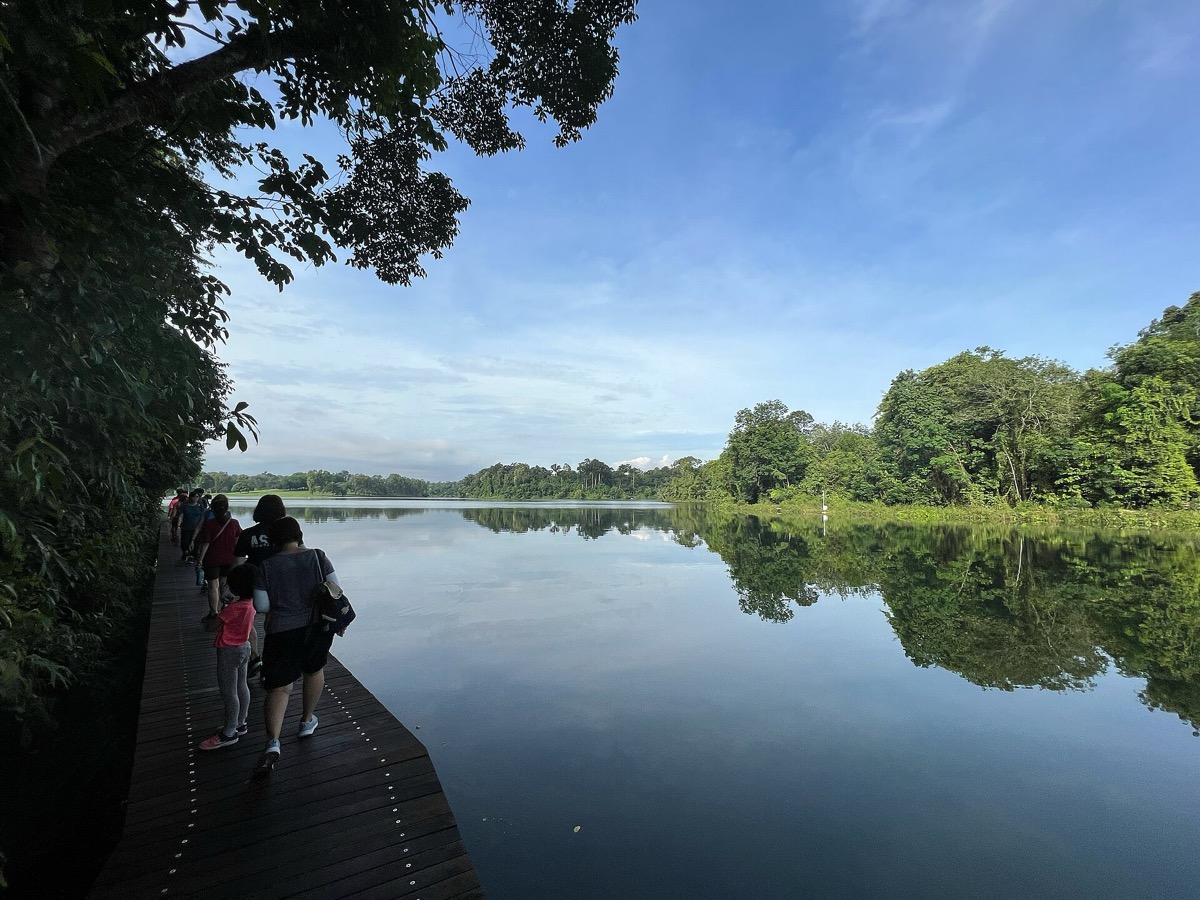 Lower Peirce Reservoir Park