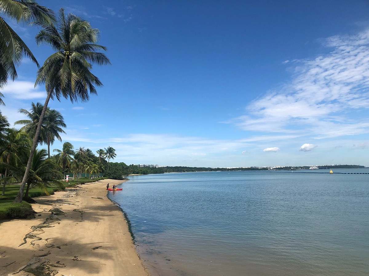 Pasir Ris beach and the 65 barbecue pits