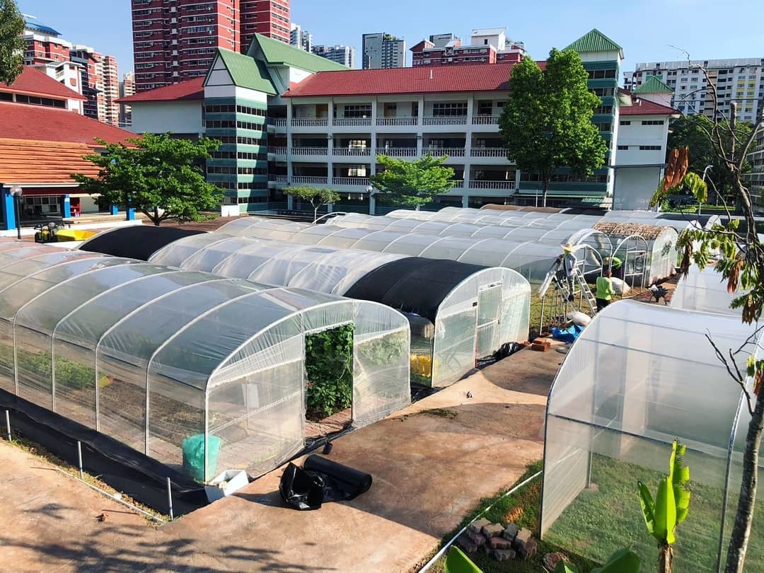 City Sprouts at Henderson