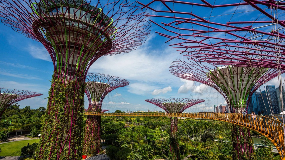 Supertree Grove and Garden Rhapsody