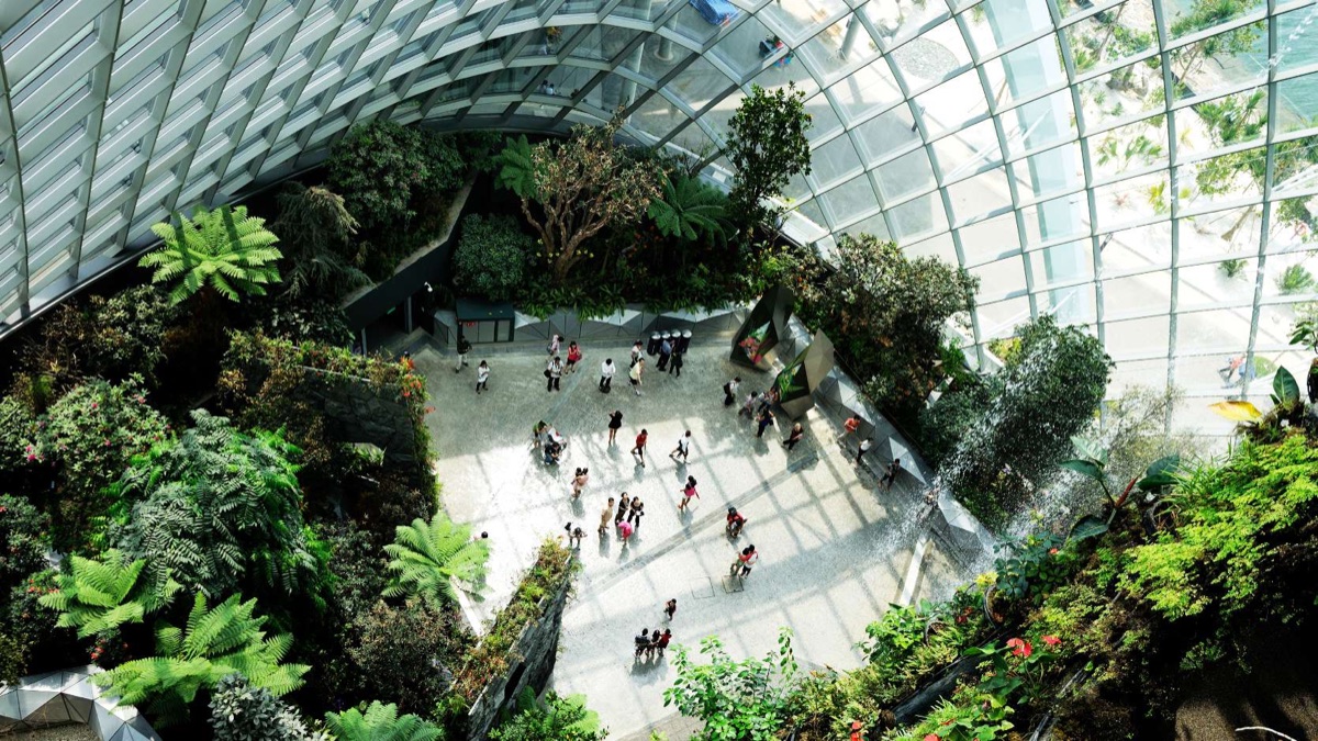 Cloud Forest and Flower Dome