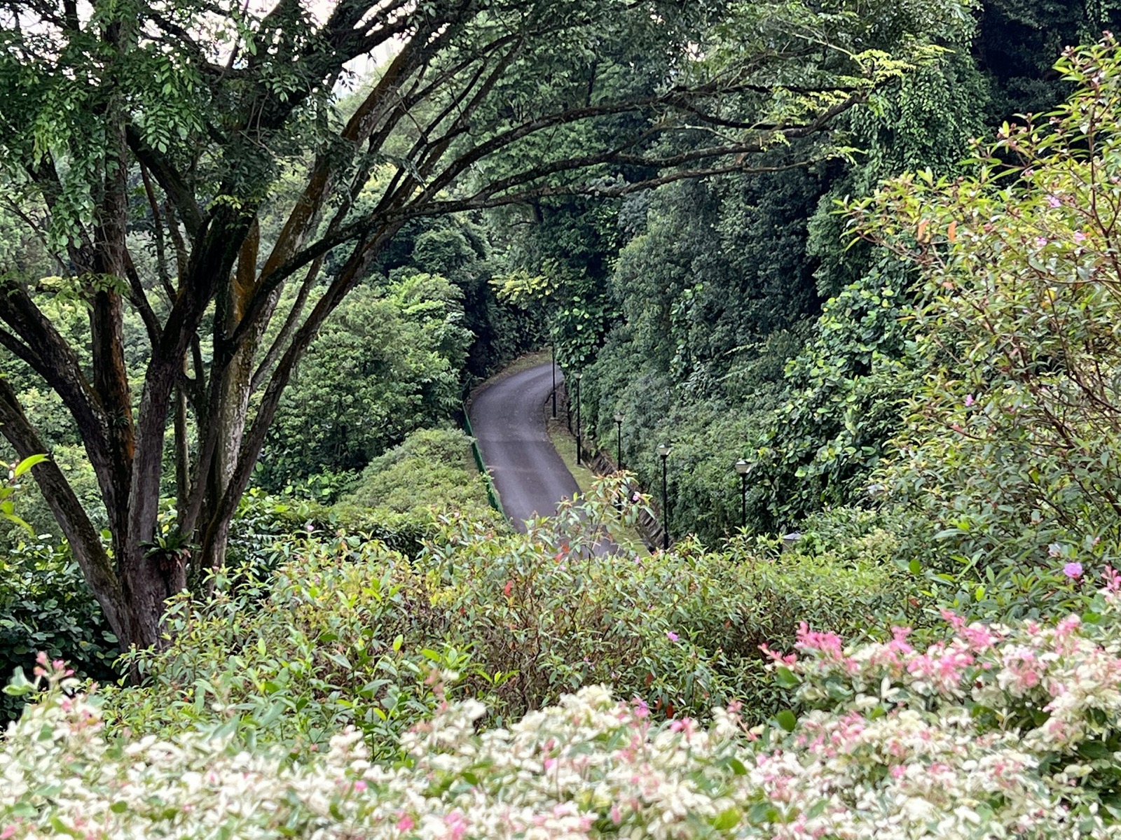 Things to Do With Kids in Upper Thomson, Springleaf and Mandai, Singapore