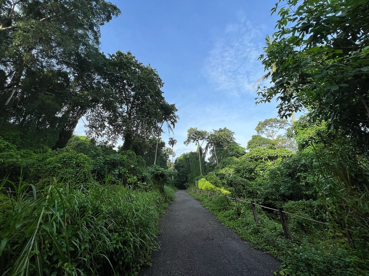 Thomson Nature Park