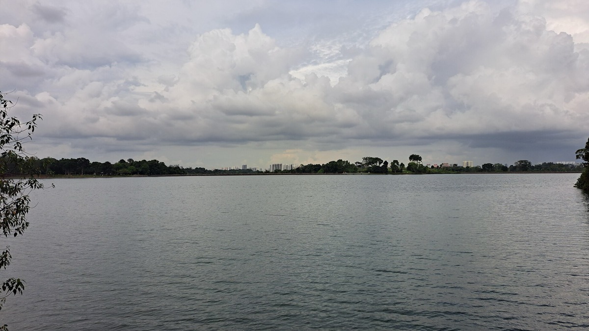 Upper Peirce Reservoir Park