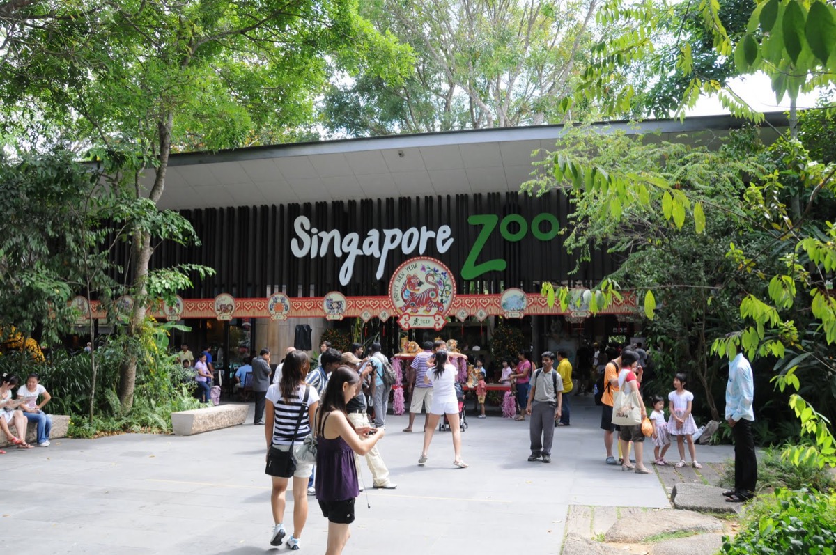 Mandai Wildlife Reserve