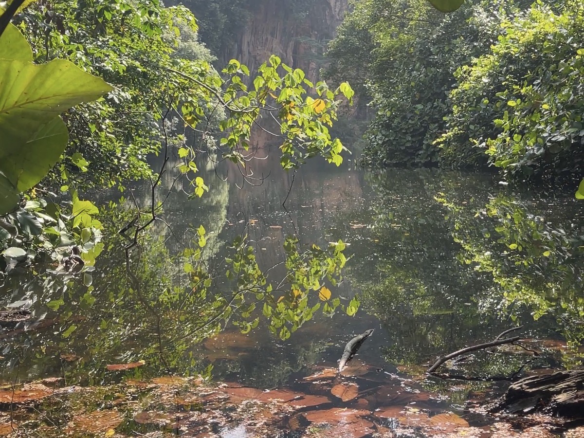 Bukit Batok Nature Park