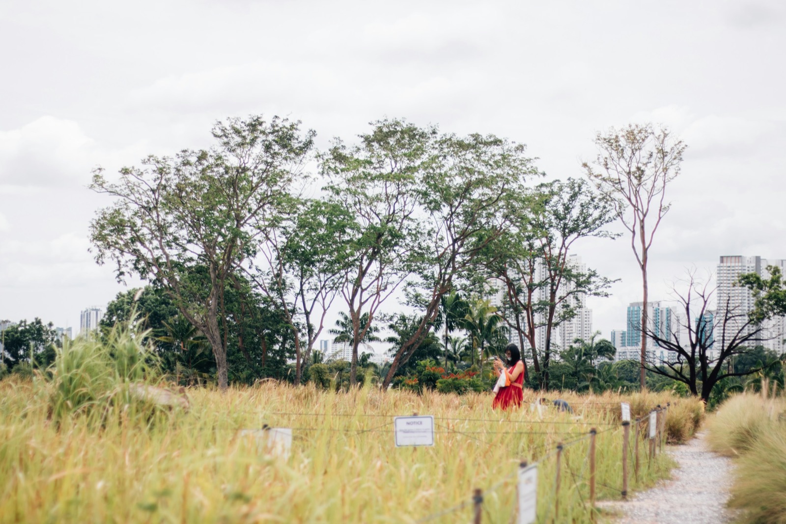 Things To Do With Kids In West Singapore: 19 Places With 2026 Prices