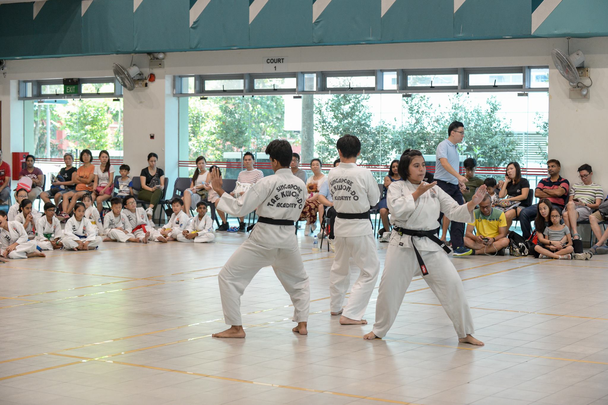 Singapore Taekwon-do Academy