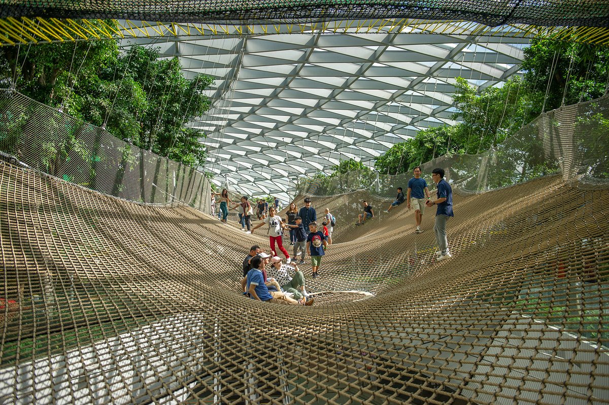 Canopy Park: the $8 ticket and what it covers