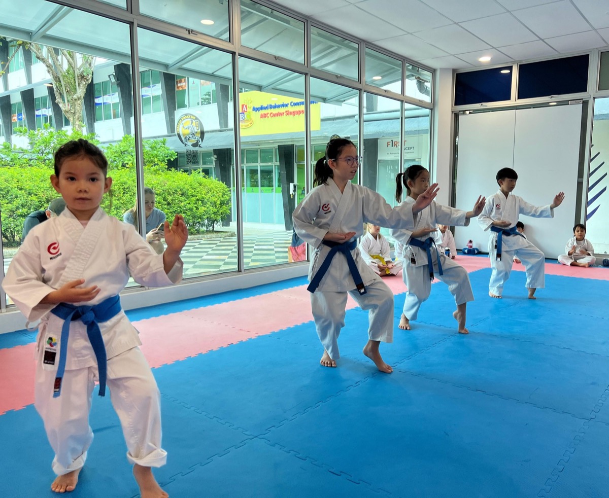The Karate Academy