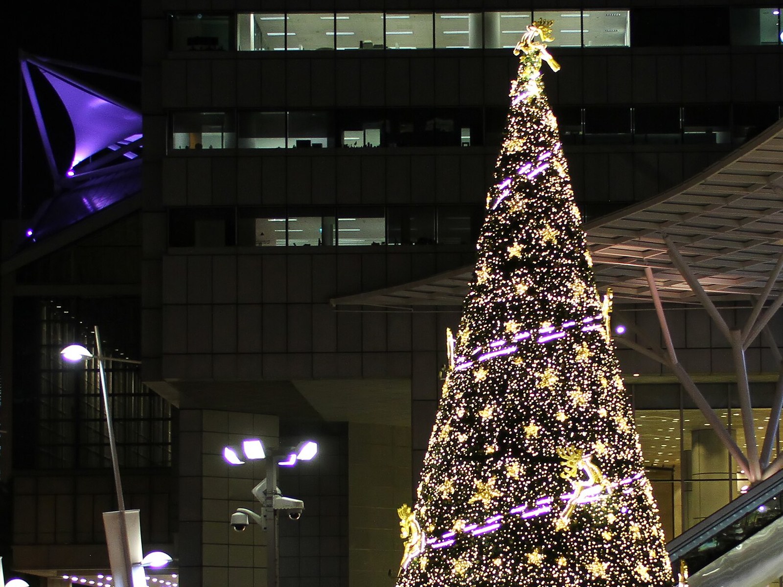 Christmas with Kids in Singapore 2026: Lights, Shows, Workshops and Camps