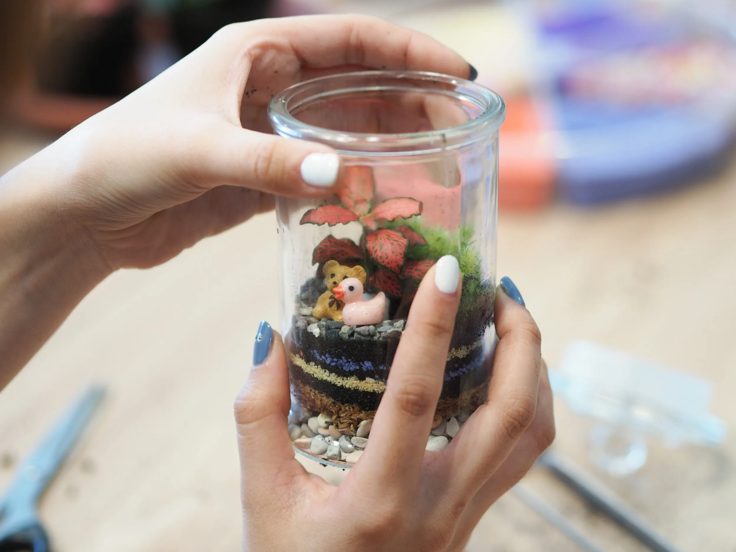 J2 Terrarium