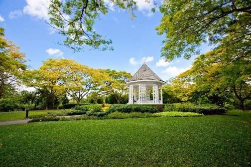Singapore Botanic Gardens (Free)