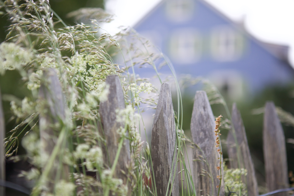Garten Traum im Traumgarten ♥