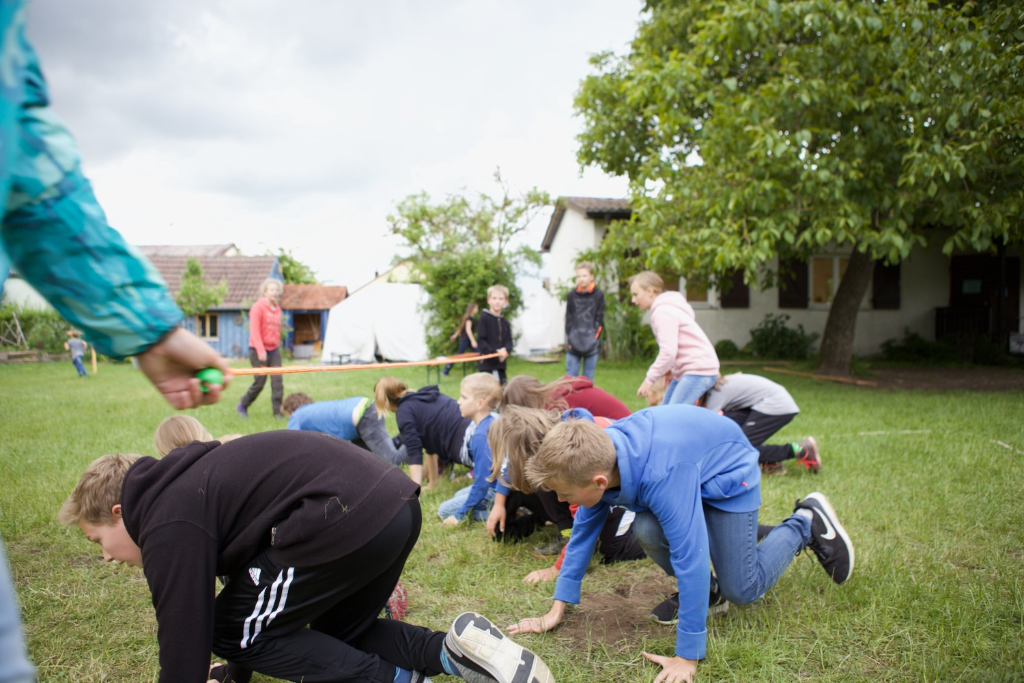 Lieblingsspiel "Rasenmäher"
