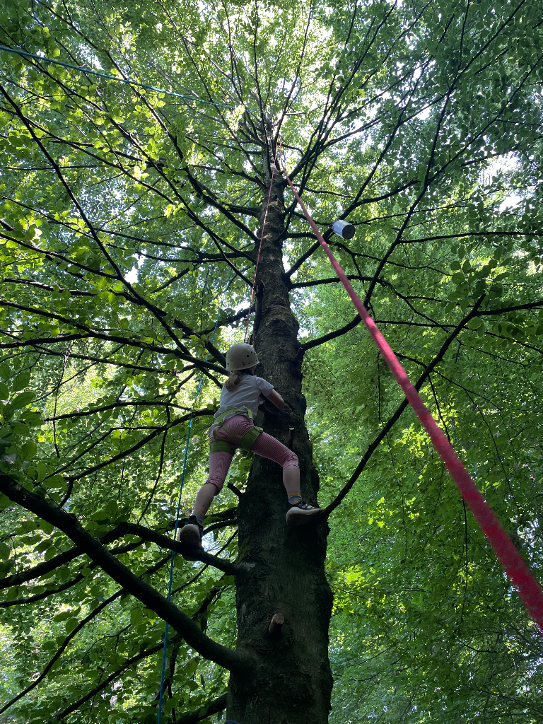 Viele kleine Schritte gehen ...