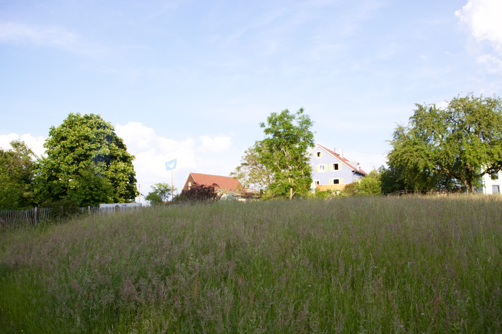 Selig sind, die Frieden stiften; denn sie werden Gottes Kinder heißen. Matthäus 5:9