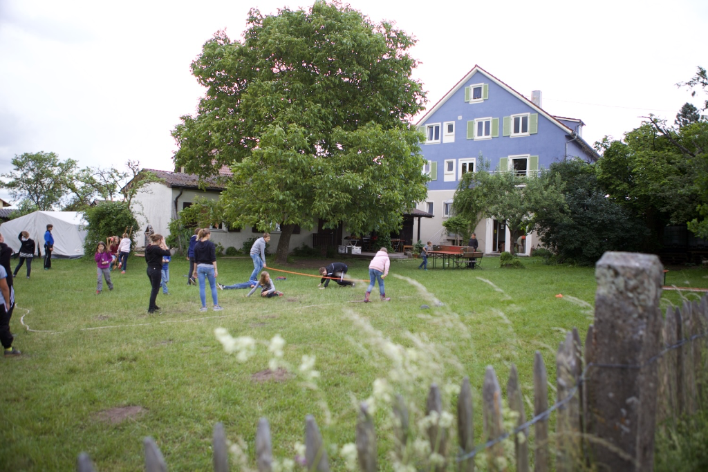 Lieblingsspiel "Rasenmäher"