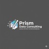 Prism Data Consulting logo