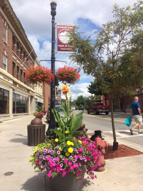 Flowers in downtown 