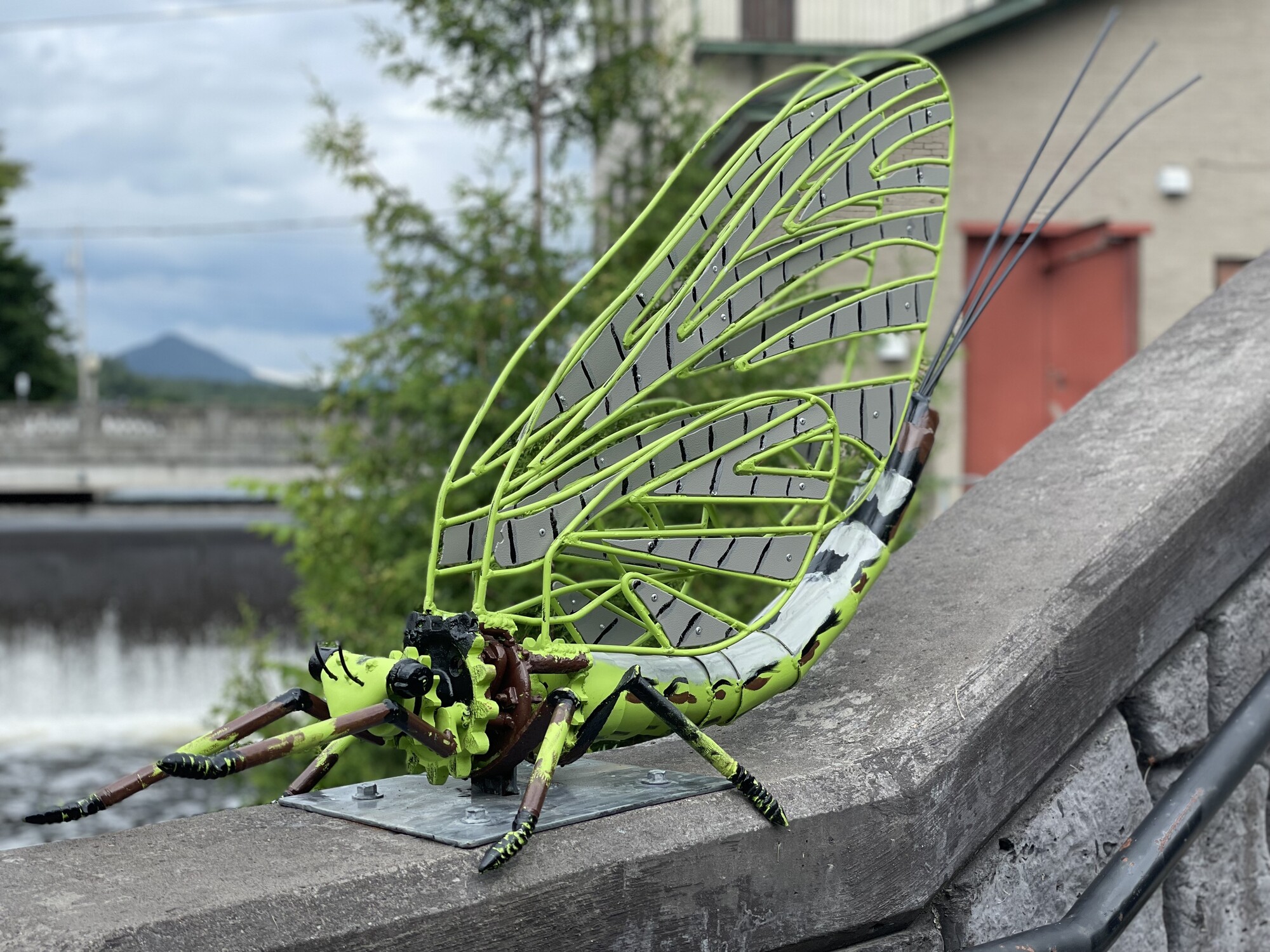 The Saranac Lake Bug Crawl
