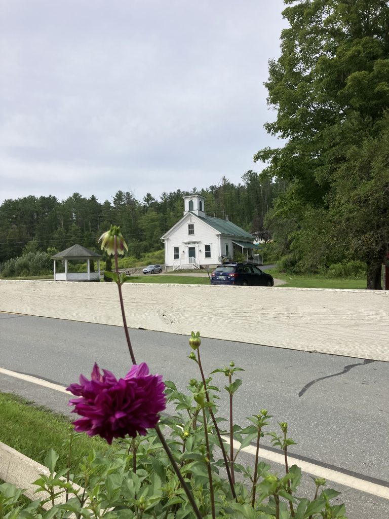 Cem Blooms