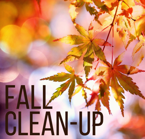 Fall Clean-Up