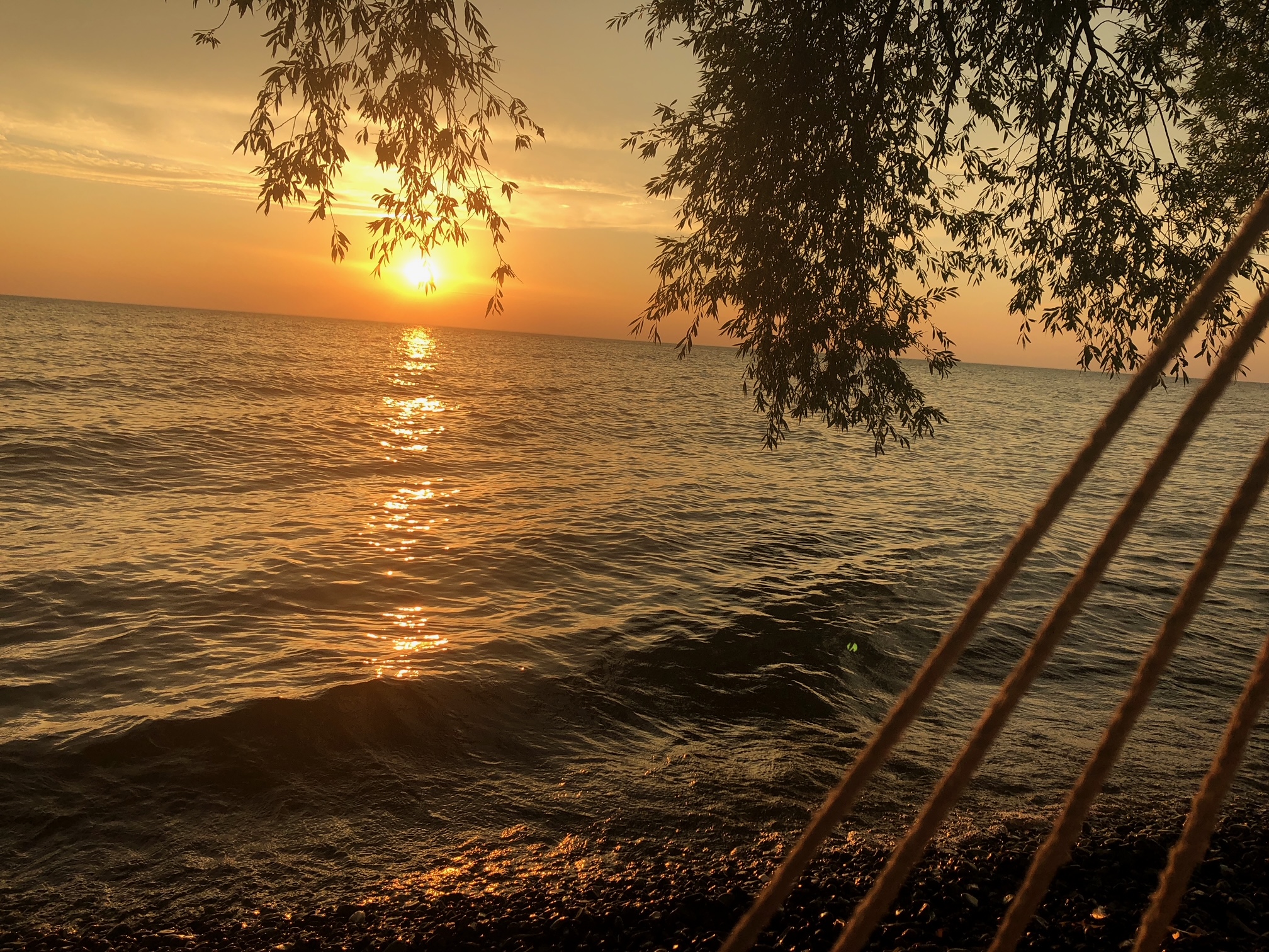 Summer sunset by the water