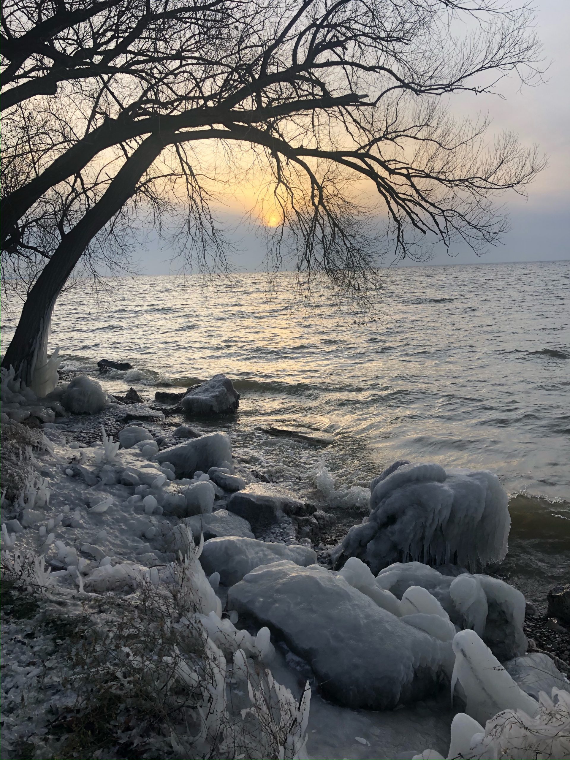 Lake in the winter