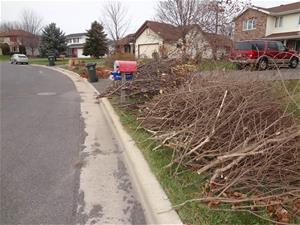 Curbside Brush Collection