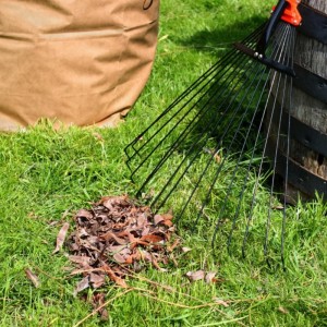 Monthly Brush Pick Up