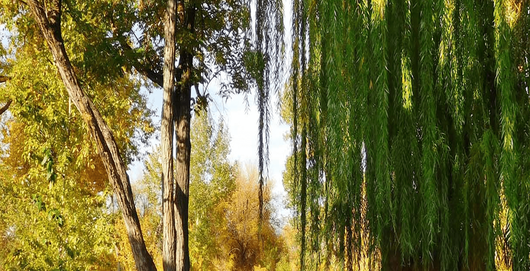 Frequently asked questions illustration