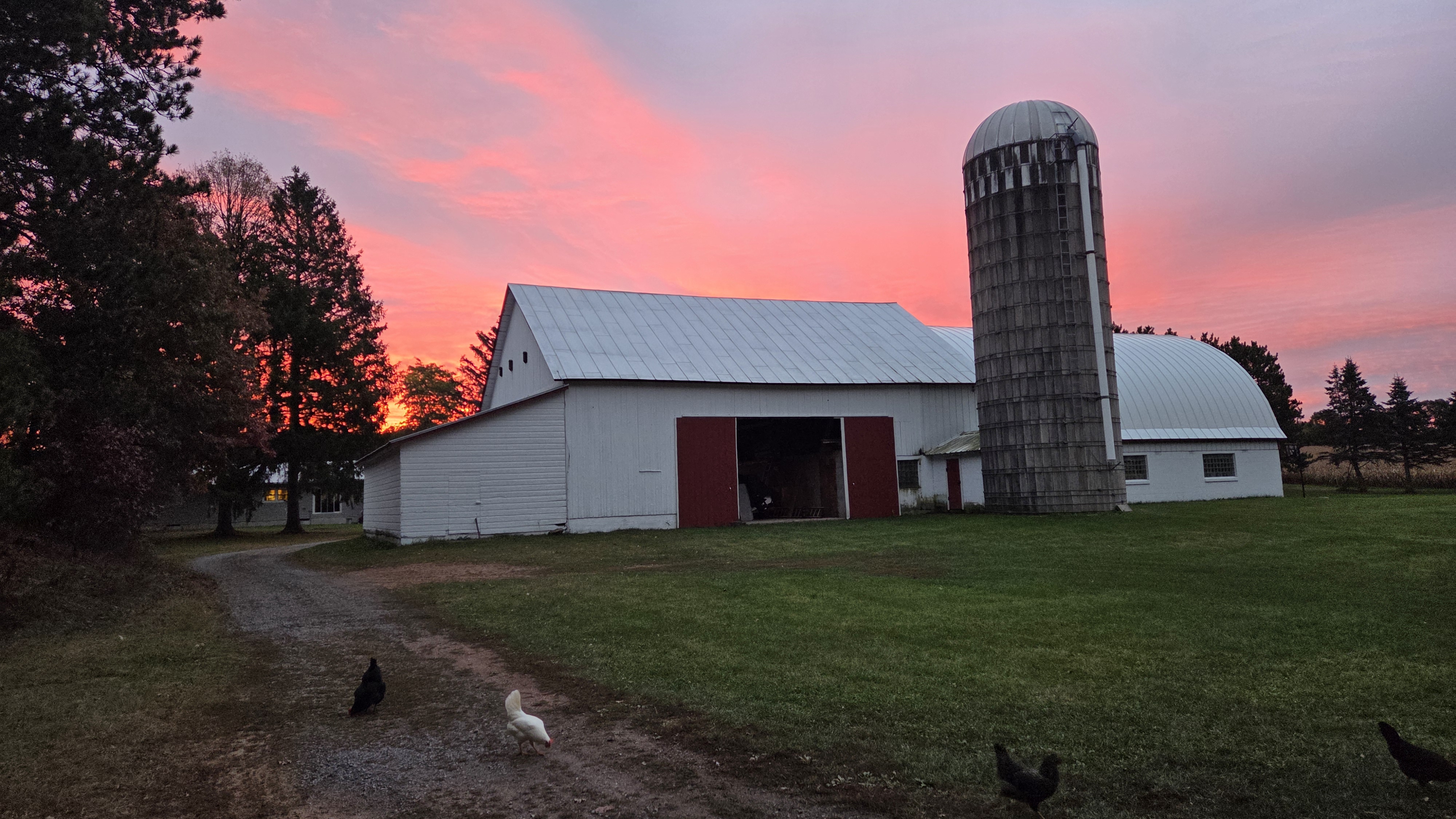 A white farm barn and silo with a pink and orange sky at sunset