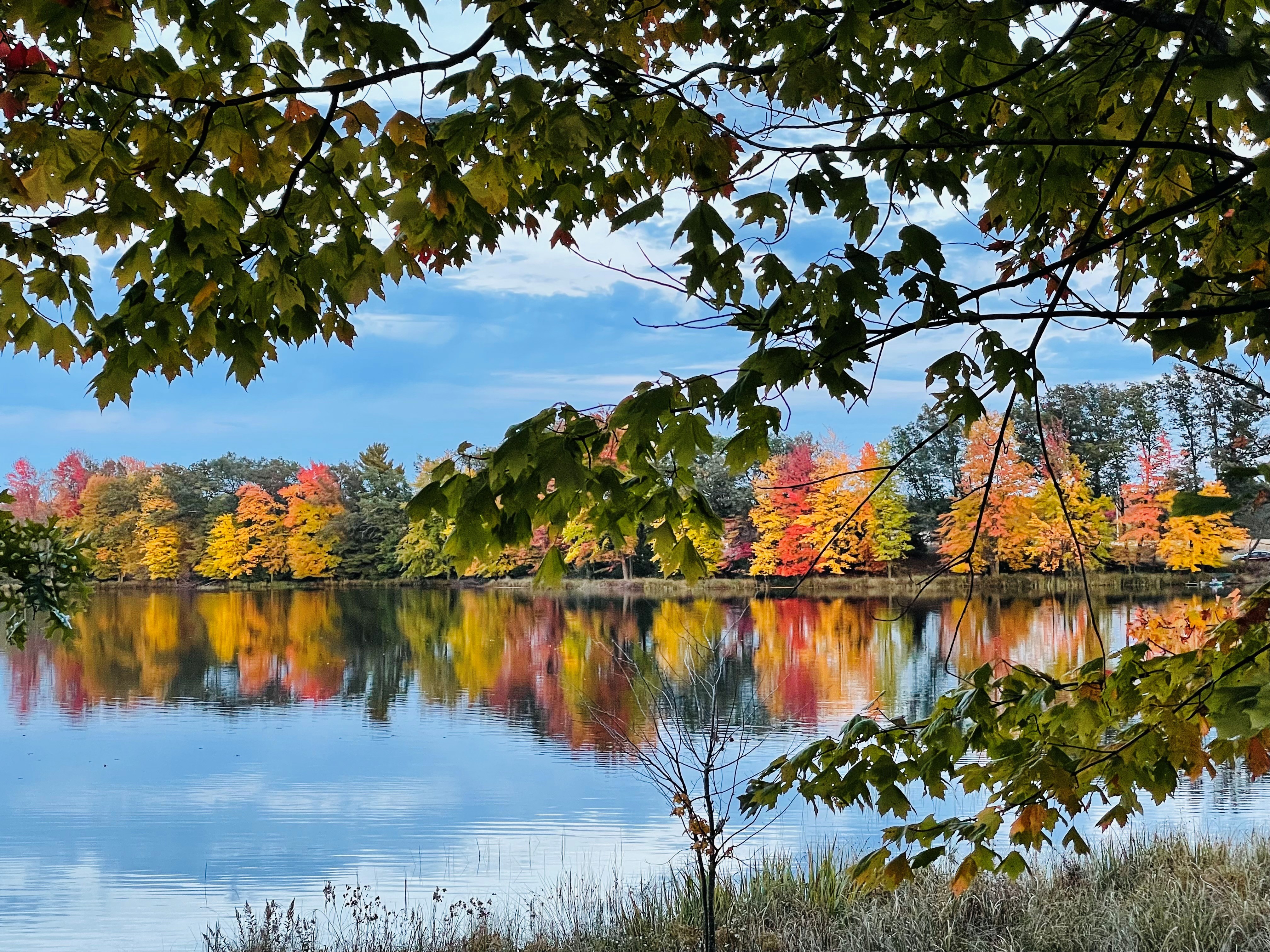 Fall tree color scene on Twin Lakes