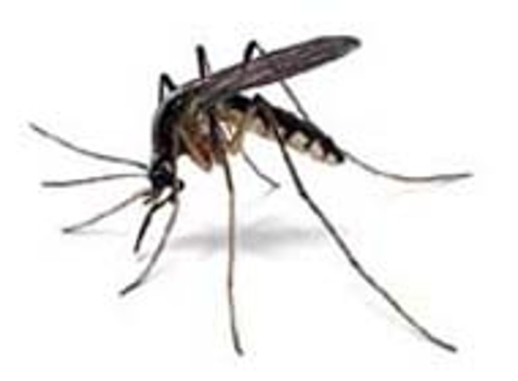 MOSQUITO SPRAYING NOTICE