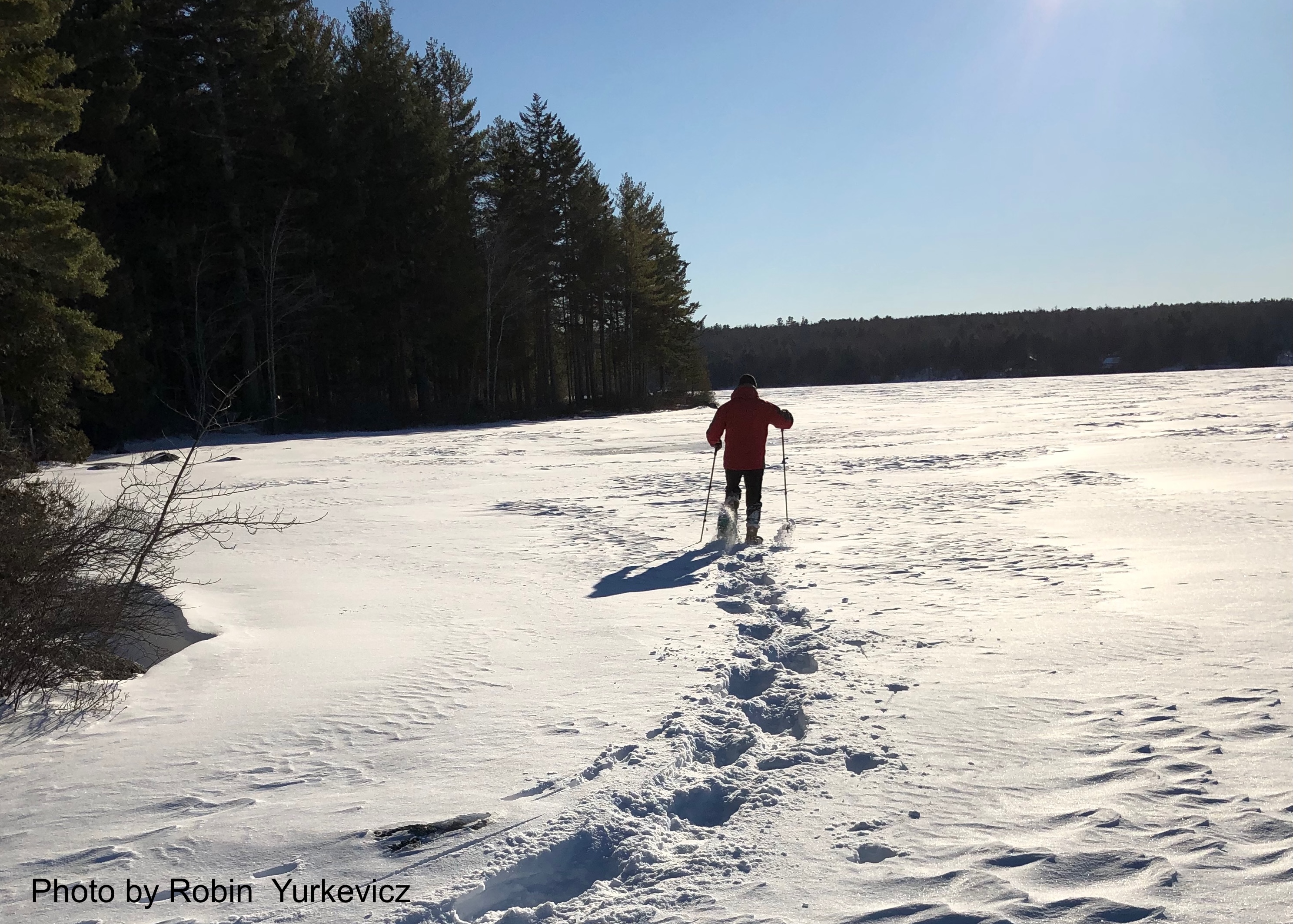 Cross-country skier gliding across a snowy field in Orland, Maine